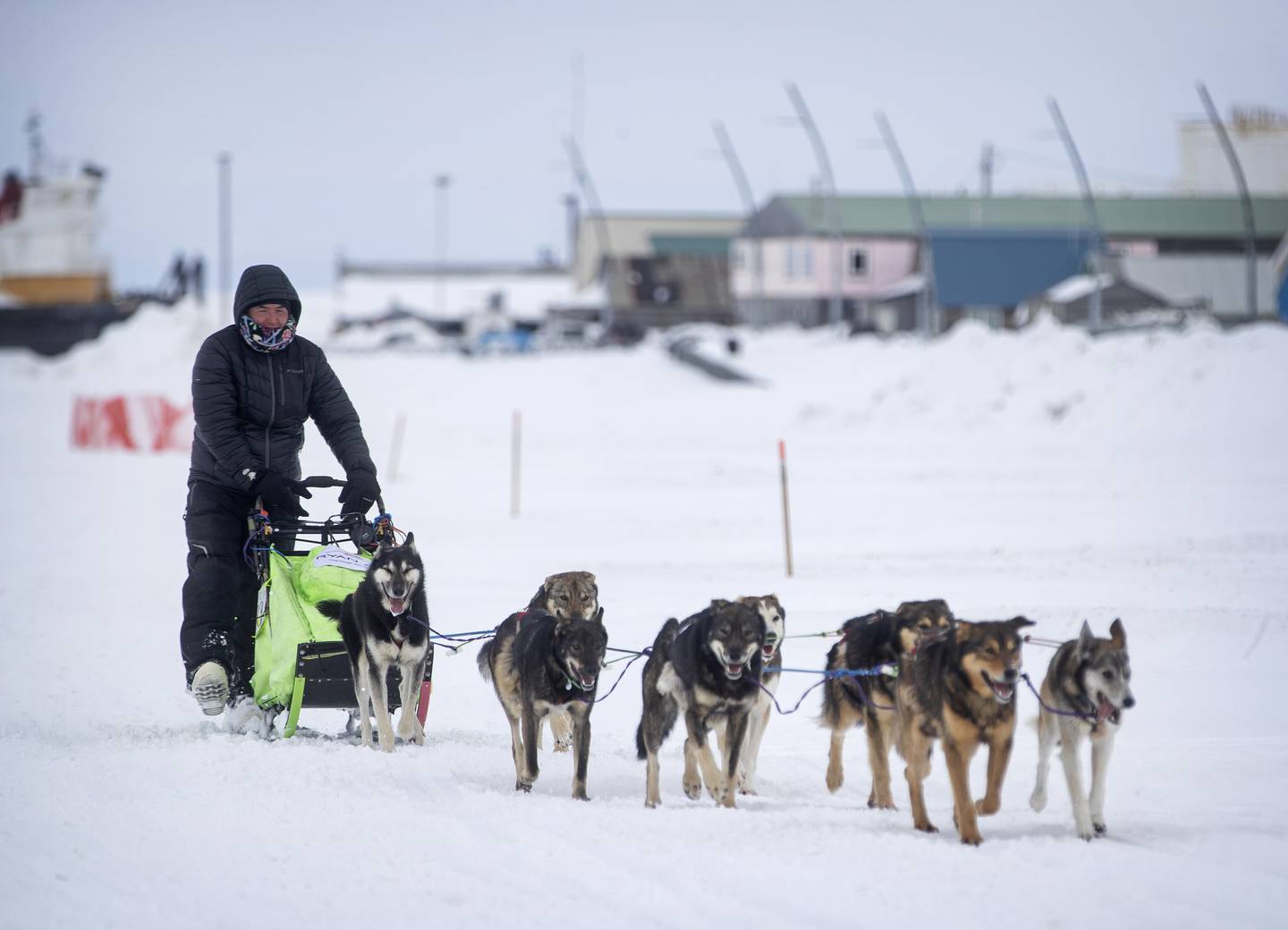 Kobuk 440, sled dog race, mushing, arctic, spring