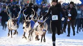 Get the full Fur Rendezvous experience with Running of the Reindeer and more