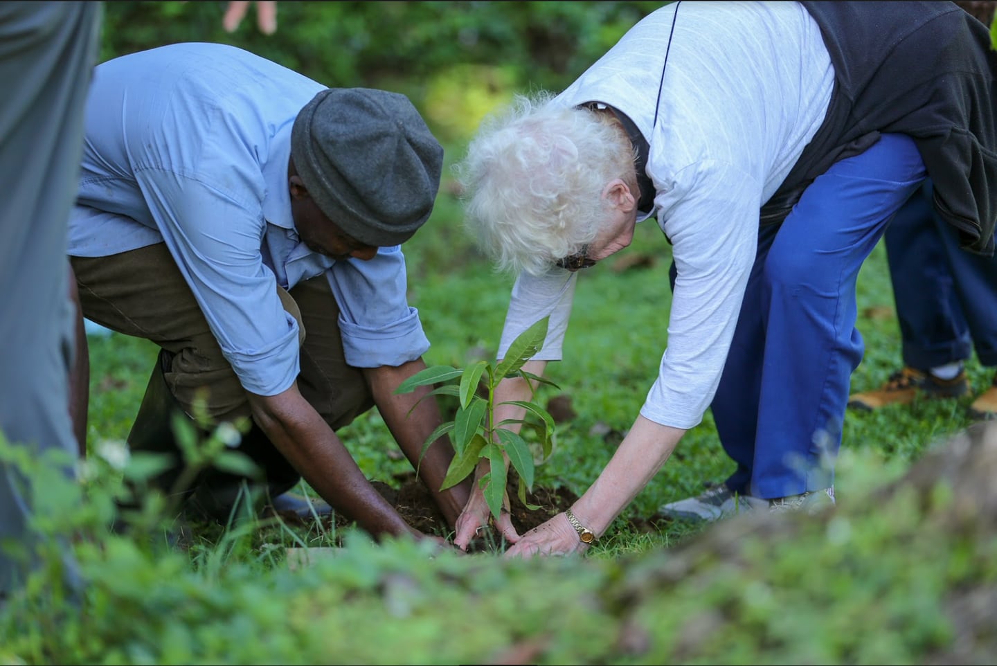 Kaanankira Mbise (left), a community member from Seela village in Tanzania, plants a tree with Barb Ross from Anchorage