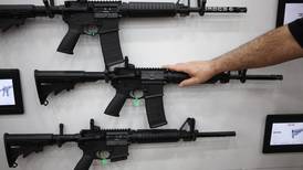 Is wishful thinking clouding the gun-control battle?