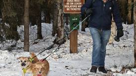 BLM: Leash pets or risk a citation at Anchorage’s Campbell Tract outdoor recreation area