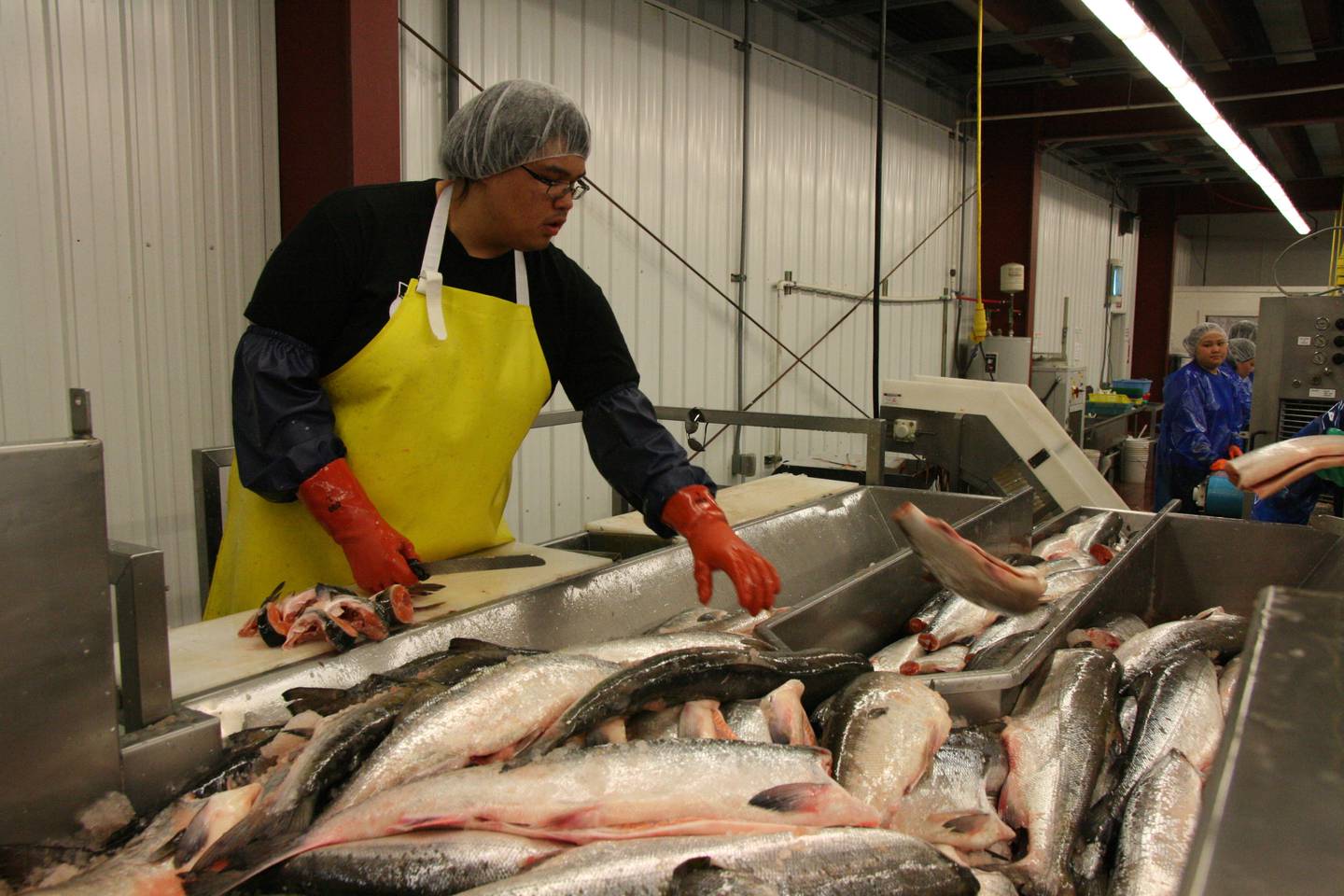 Yukon fisheries