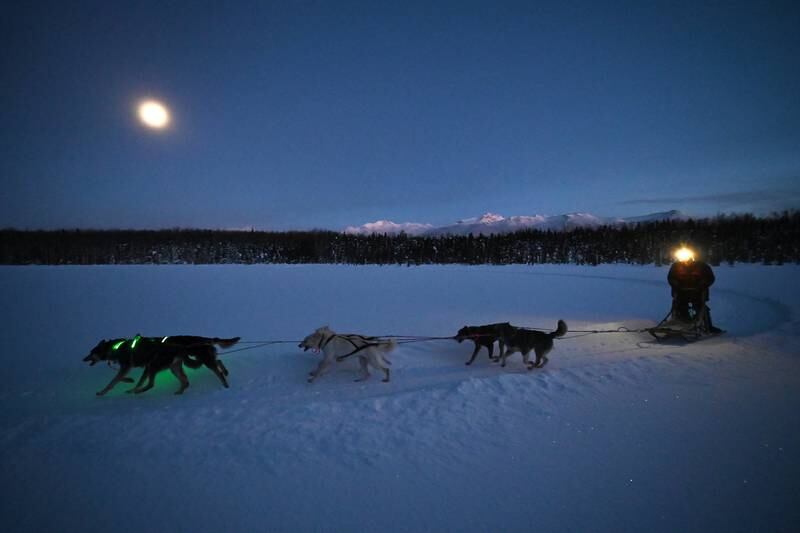 After fatal collisions between snowmachines and mushing teams, Alaska dog groups push for safety gear