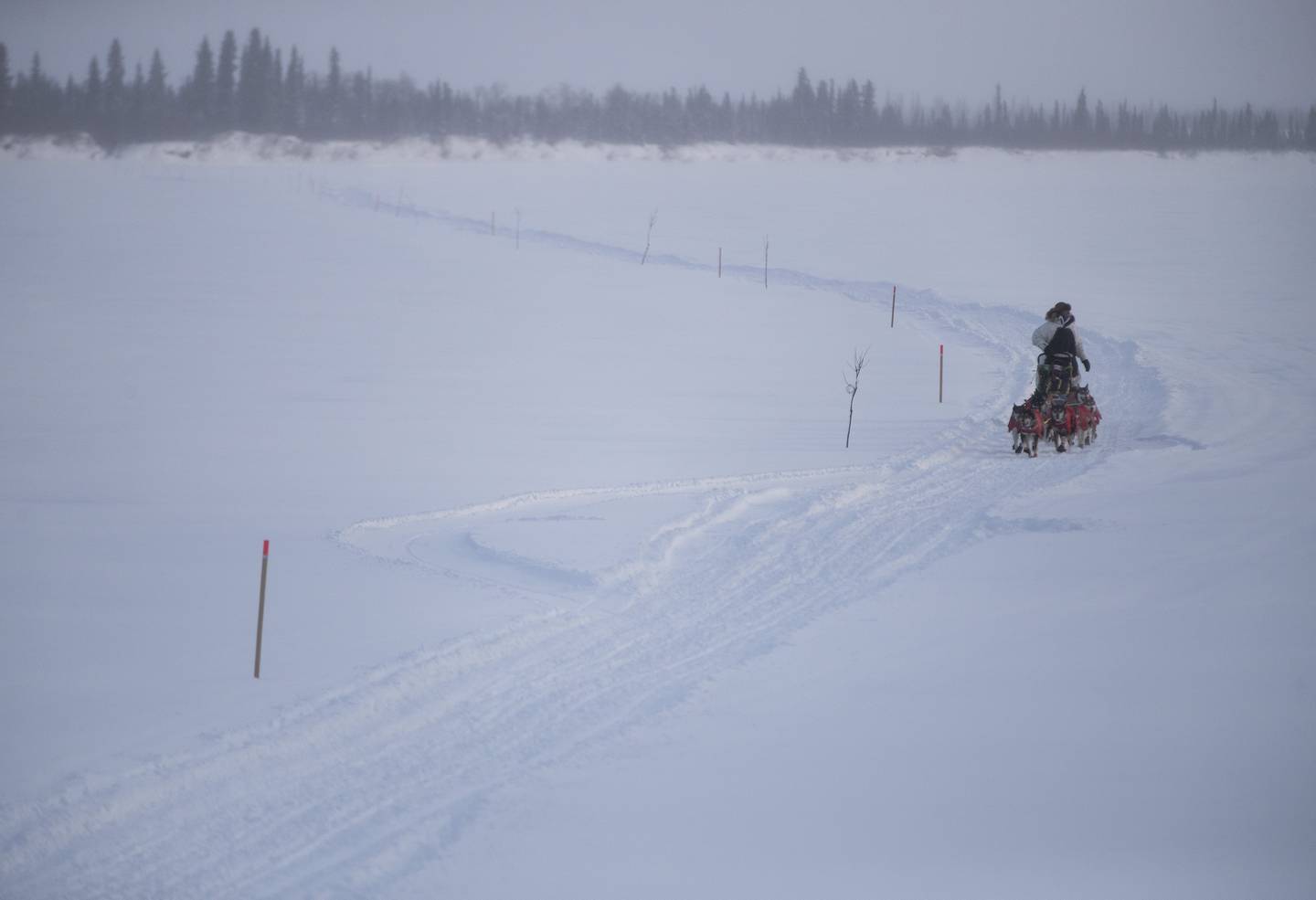 Kobuk 440, dog sled race, mushing, arctic, spring, cold, village, rural alaska