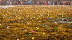 Video: Easter egg 'drop' in Eagle River