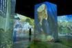 Instagram-ready ‘immersive’ Van Gogh shows have swept the US. Now, one has arrived in Anchorage.