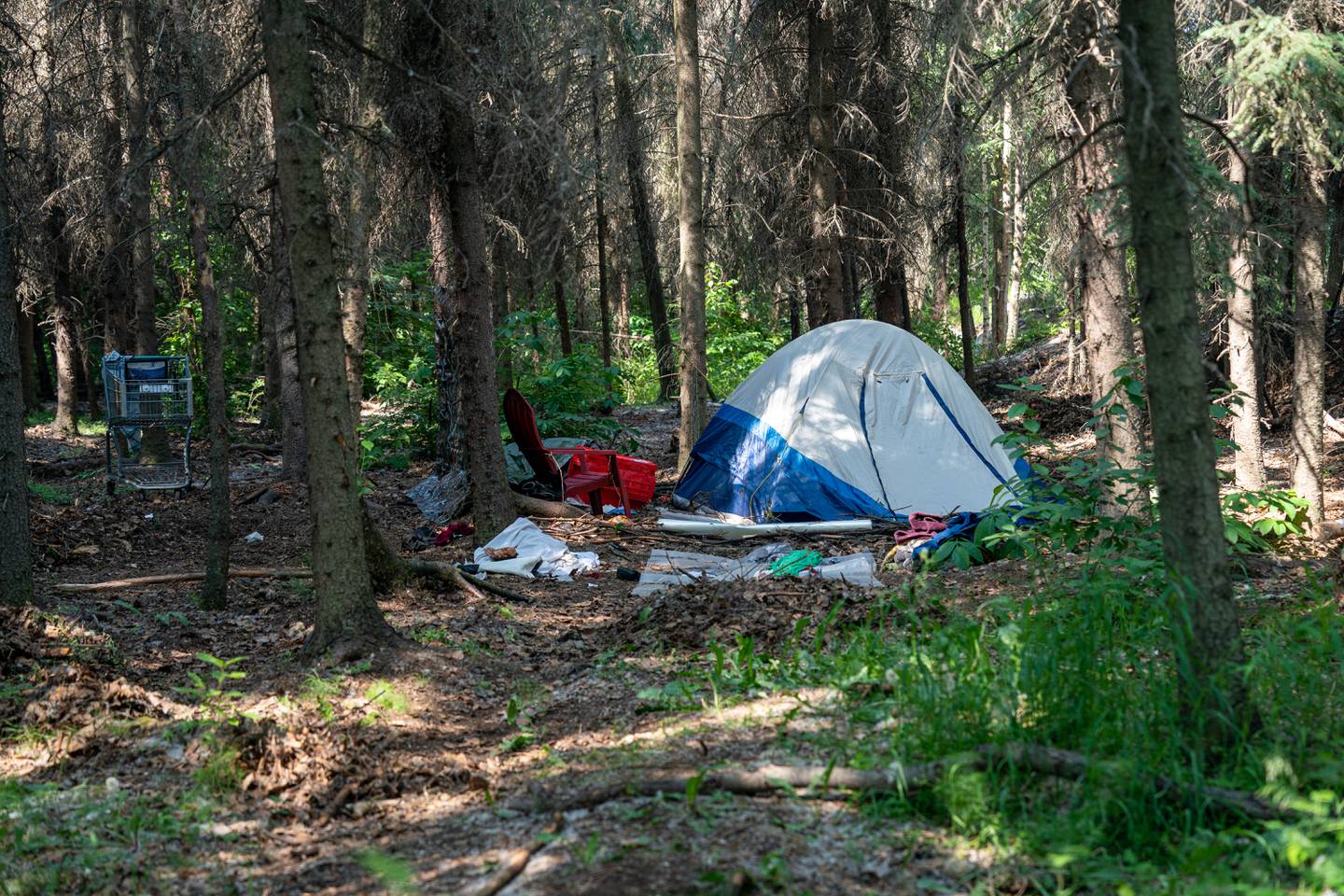 Chester Creek, homeless, homeless camp, homelessness