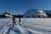 Curious Alaska: The Parks Highway igloo has been a landmark for decades. Will it ever open for business? 