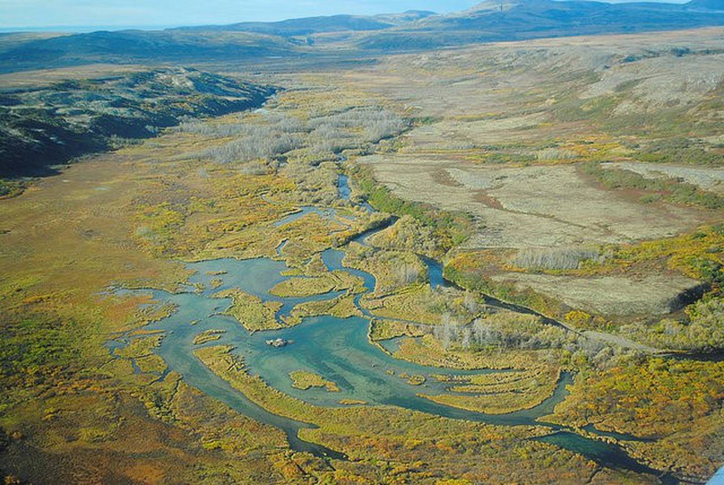The Upper Tularik Floodplain in the Bristol Bay watershed in Alaska is seen in an undated handout picture provided by the Environmental Protection Agency (EPA). Courtesy of Environmental Protection Agency/Handout via REUTERS