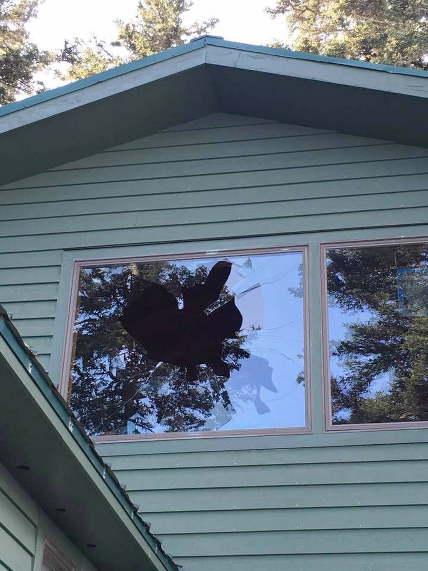 Eagle Window Kodiak