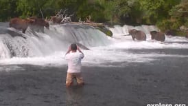 3 men get fines, prison and park ban for wading into Alaska’s Brooks River while viewing famous bears