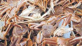Southeast crabbers are expecting one of their best seasons ever