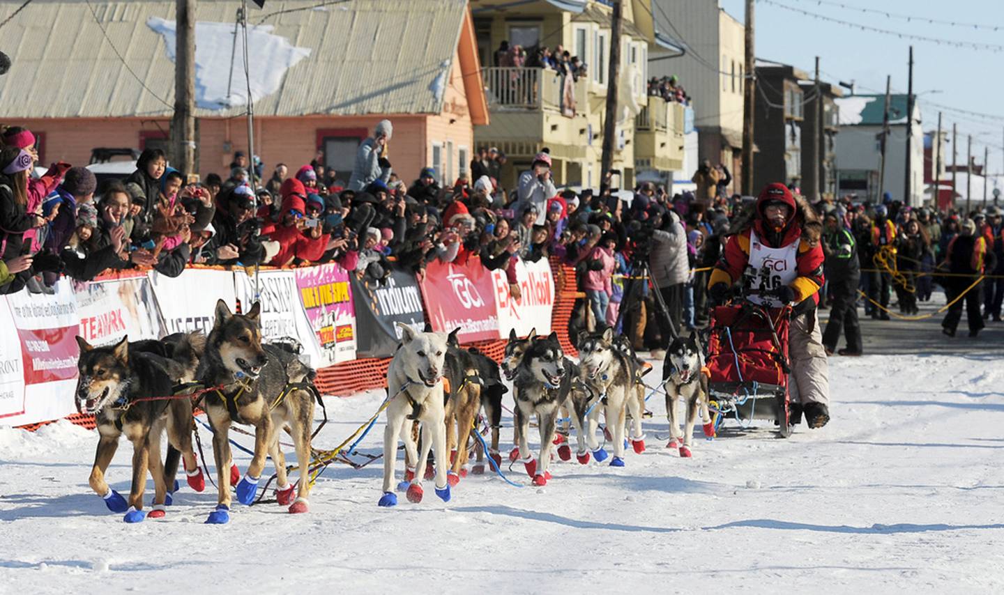 2017 Iditarod Trail Sled Dog Race, White Mountian, Mitch Seavey, Elim, Koyuk, Joar Leifseth Ulsom, Nicolas Petit, Jesse Royer, Dallas Seavey