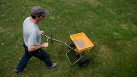 Ignore those fertilizer ads. Here’s what your lawn really needs.