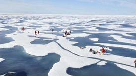 Scientific expedition discovers thriving plankton in Chukchi Sea