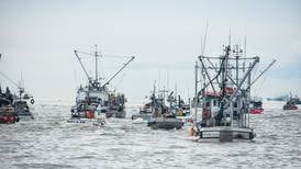 Bristol Bay fishermen support fleet reduction, study says