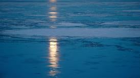 In Arctic winter, 'werewolves of the deep' hunt by moonlight
