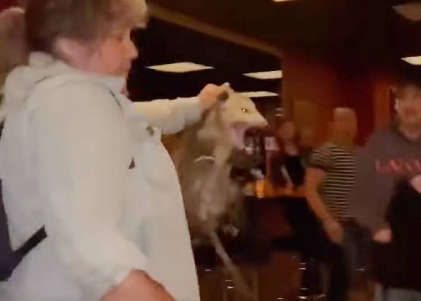 Alaska Brooklyn New York bar possum wrangler Alaska Public Media
