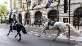 Rush hour chaos in London as 5 military horses run amok after getting spooked during a drill