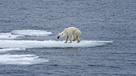 Are emaciated polar bears the new face of climate change?