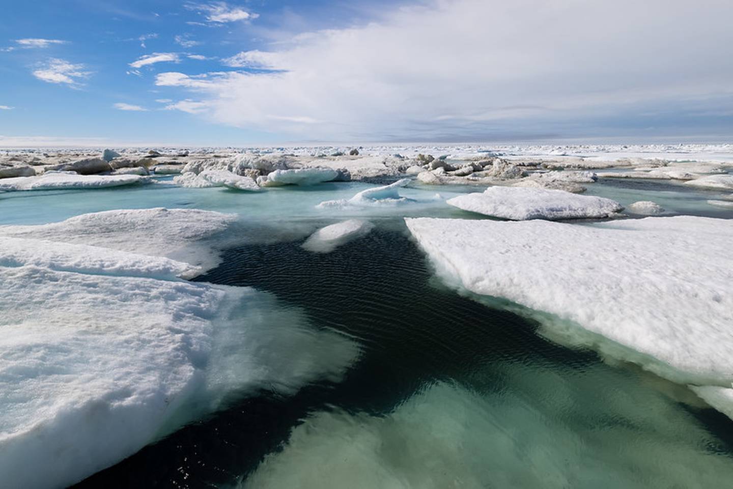 Slabs of sea ice float in the Chukchi Sea in July 2021