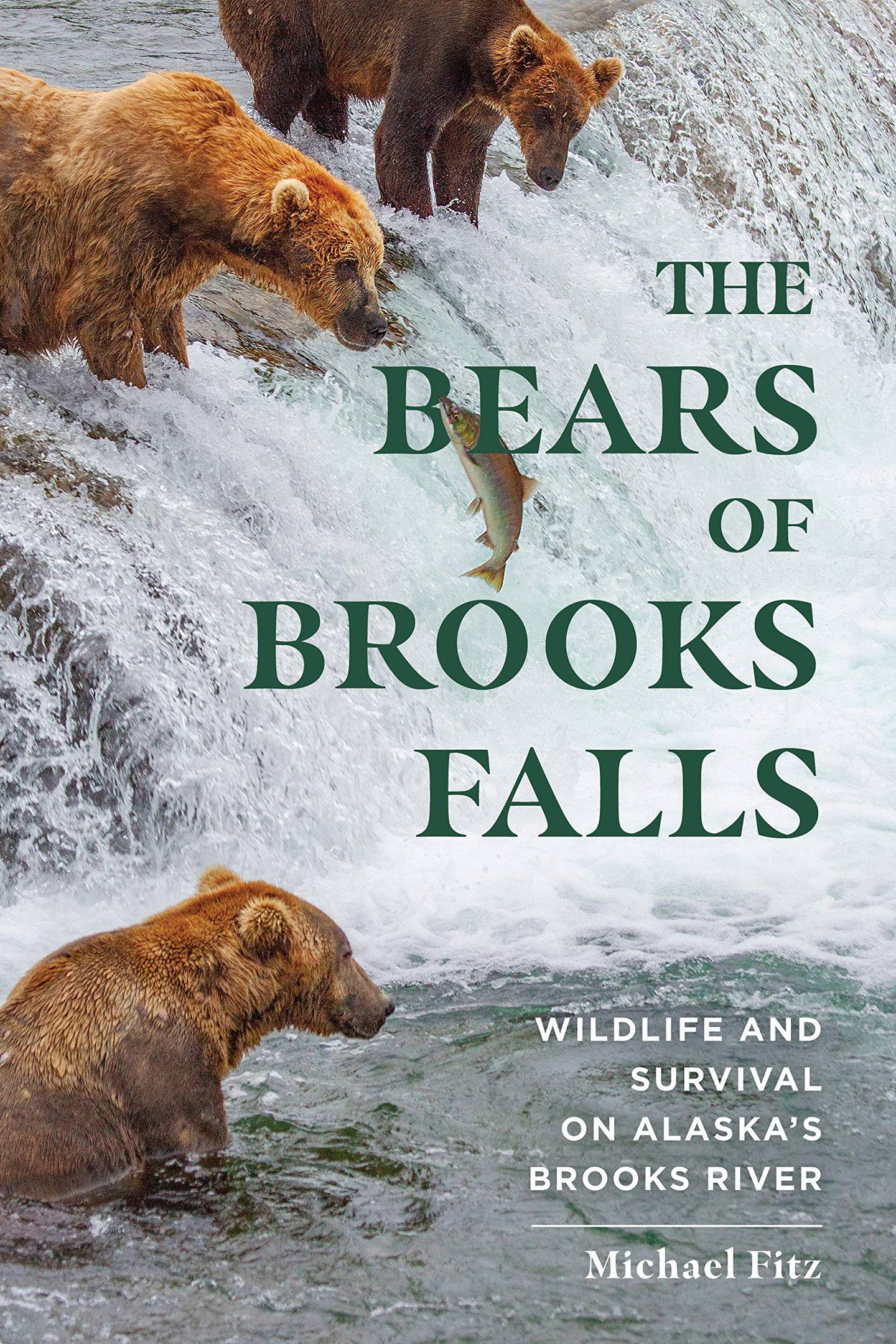 The Bears of Brooks Falls: Wildlife and Survival on Alaska’s Brooks River