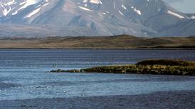 For a unique experience, consider visiting Alaska’s vast national wildlife refuges