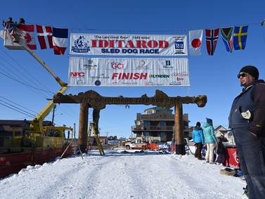 Iconic burled arch at Iditarod finish line in Nome collapses