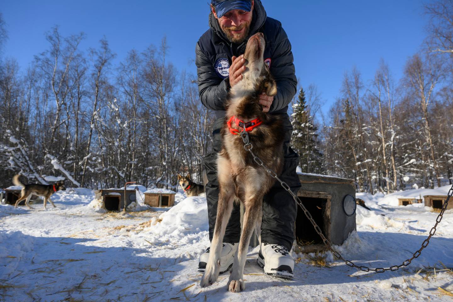 Jason Mackey, musher, mushing, Iditarod