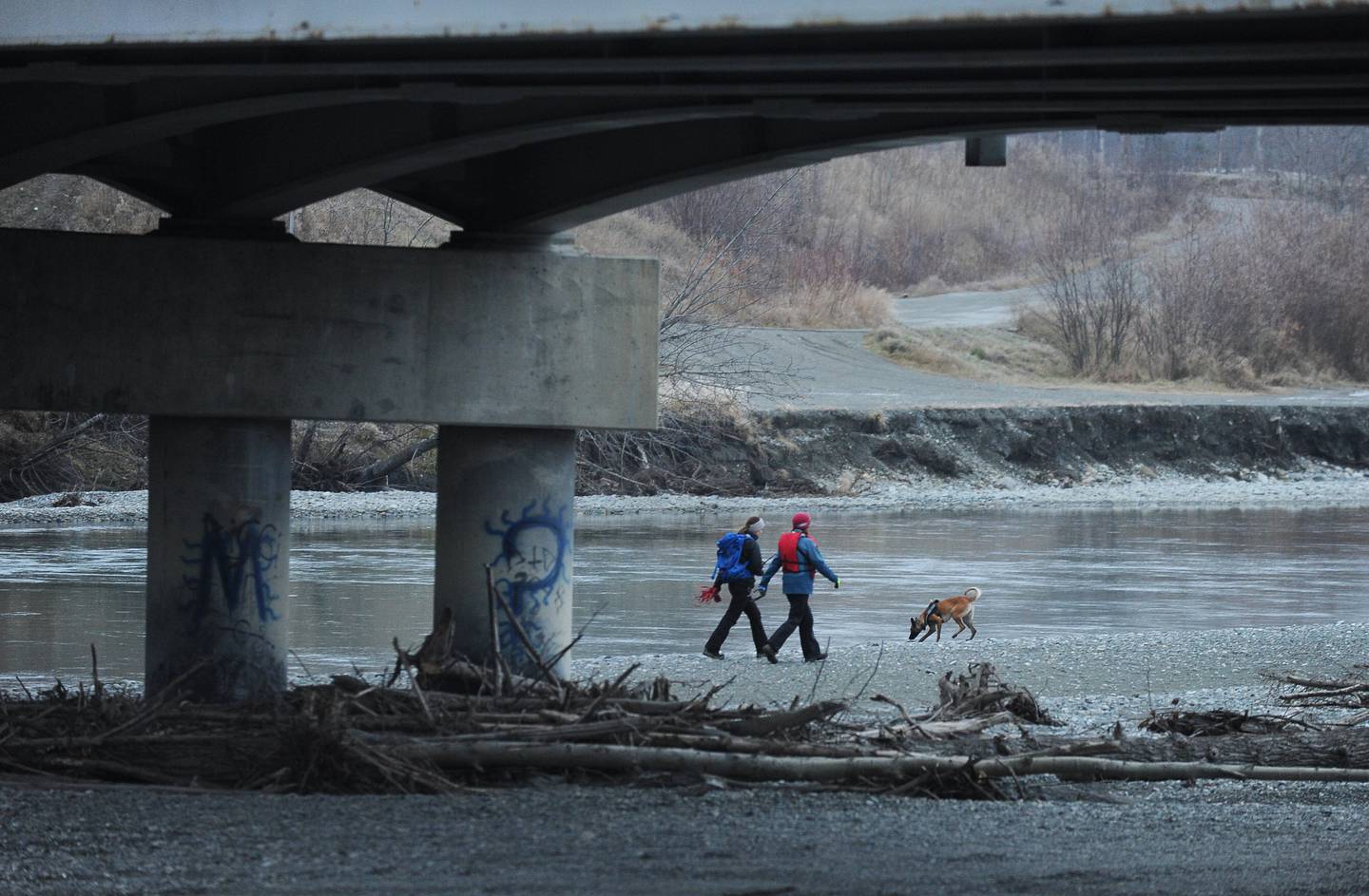Search and Rescue Dog, Matanuska River, Missing Person, Rachel Lynn Mallard