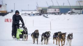 Is dog mushing a dying sport? It’s certainly dwindling, and here’s why