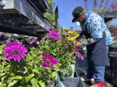 Horticultural hacks to get your gardening season off to a great start