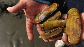 When Alaska shellfish turns deadly