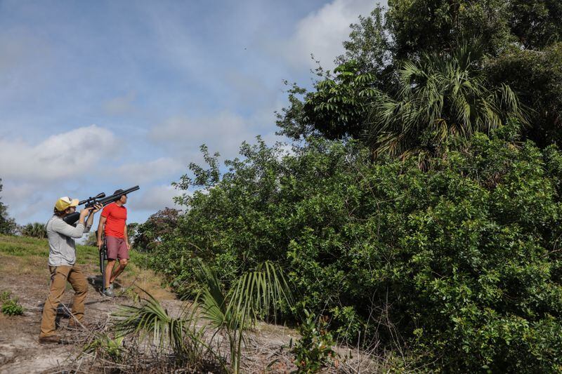 Zack aims his air rifle at an iguana in a banyon tree. (Cindy Karp for The Washington Post)