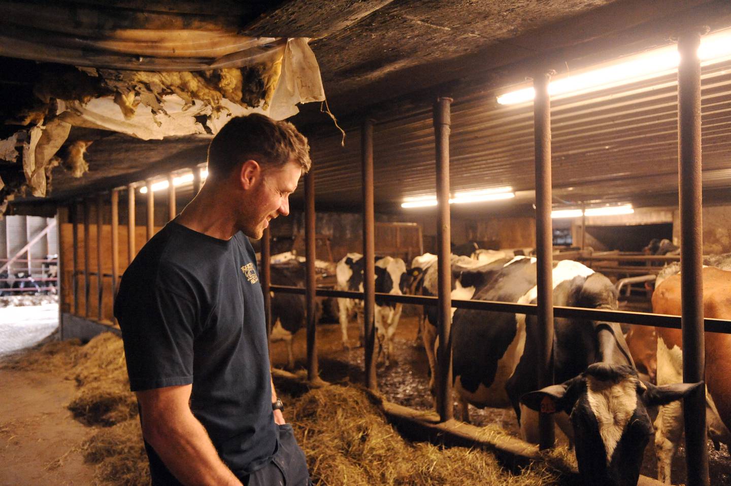 Ty Havemeister Dairy Farm