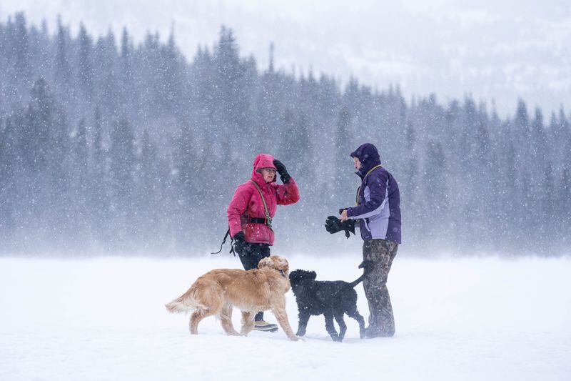 Christine Smith, left, with her dog Bix, walks with Mary Anderson and her dog Bria on a blustery Thursday, April 11, 2024 at Storck Park in Anchorage. (Loren Holmes / ADN)