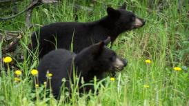 The truth about fish and wildlife management in Alaska