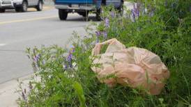 Wasilla says no to disposable plastic shopping bags