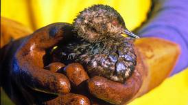 The people should decide the future of the Exxon Valdez spill trust