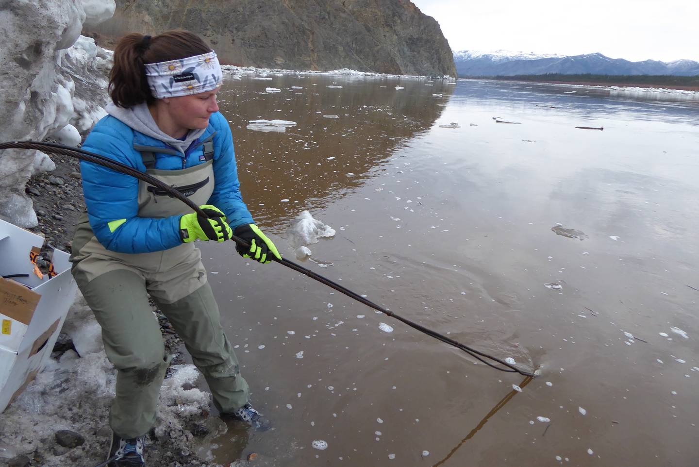 Liz Richards, a hydrology technician for the USGS, pulls an anchor attached to a river level measuring device from the Yukon River