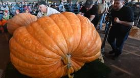 Anchorage pumpkin grower outdoes himself with new record at Alaska State Fair 