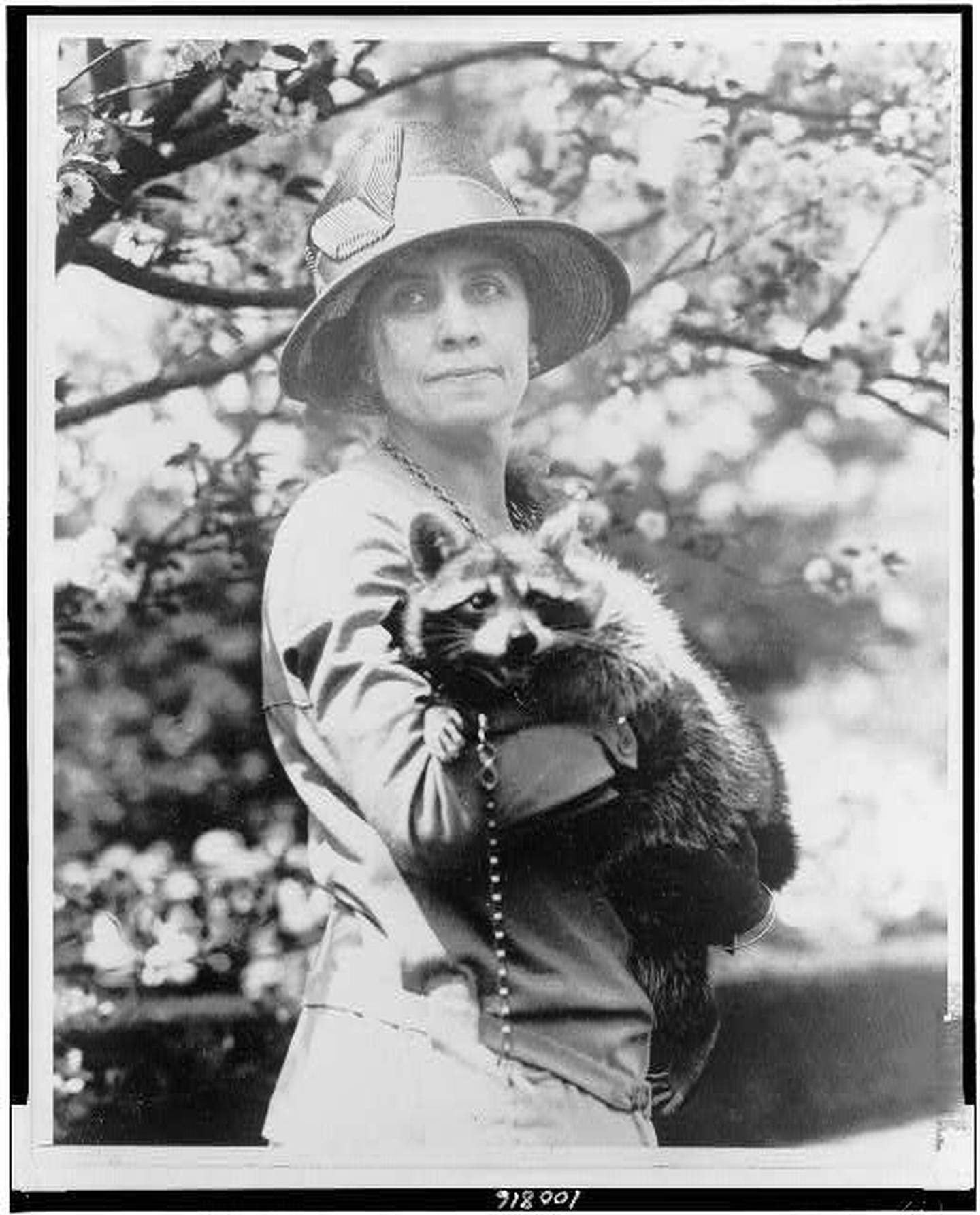 Grace Coolidge, half-length portrait, standing, facing front, holding her pet raccoon Rebecca