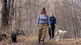 Need a dog date? A new Mat-Su Borough program loans out four-legged trail friends