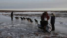 4 mushers scratch due to icy conditions in Kuskokwim 300 sled dog race
