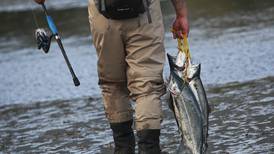 Fish and Game forecasts fair to poor sockeye runs for Cook Inlet, Copper River