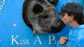 Our favorite photos from the 2023 Alaska State Fair