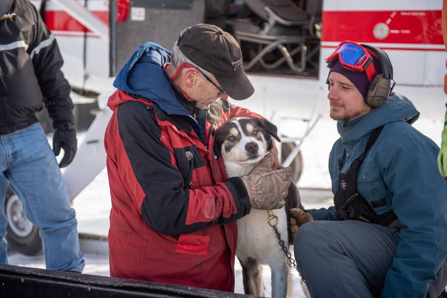 Dillon escaped sled dog; Finger Lake; Iditarod
