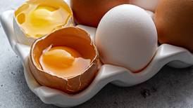 Refrigerate your eggs! Here’s why.