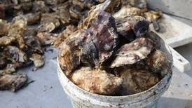 Deadly toxin shuts down some Southeast Alaska oyster farms