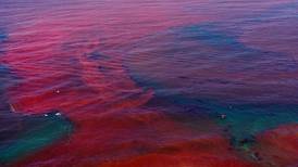Alaska must take action now on harmful algal blooms in our changing oceans